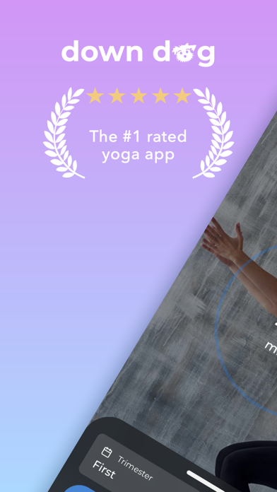 Prenatal Yoga | Down Dog screenshot 4