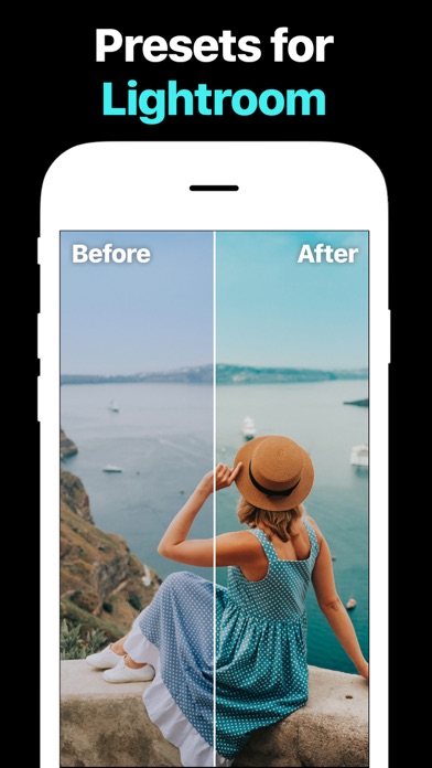 Presets for Lightroom — LR screenshot 5