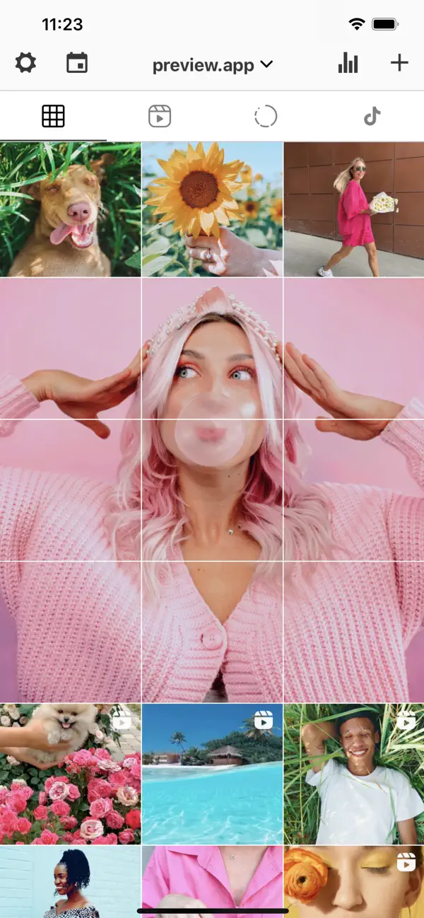 PREVIEW: Planner for Instagram screenshot 5
