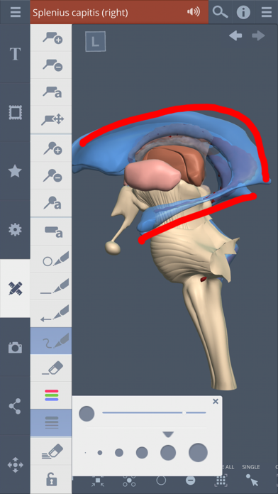 Primal's 3D Head & Neck screenshot 1