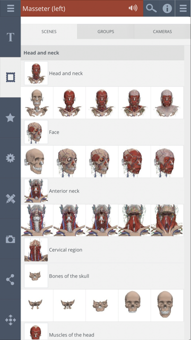 Primal's 3D Head & Neck screenshot 4