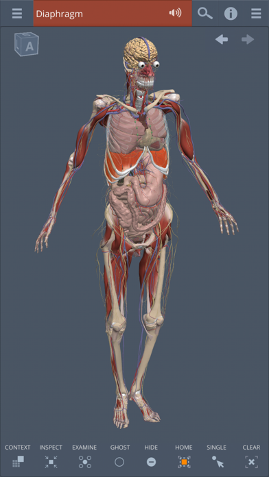 Primal's 3D Whole body screenshot 5