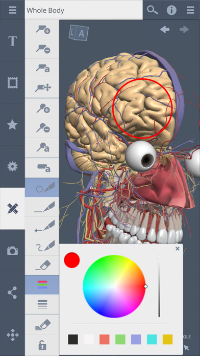 Primal's 3D Whole body screenshot 1