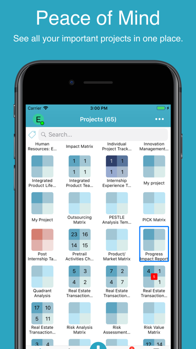 Priority Matrix screenshot 3