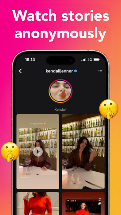 Private Story Viewer - ISV screenshot 3