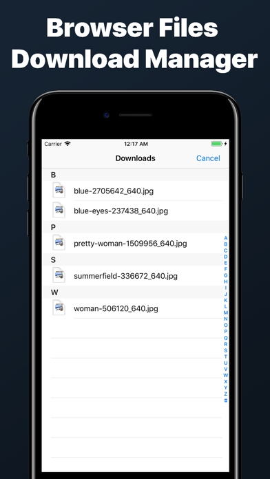 Private Web Browser Incognito screenshot 2