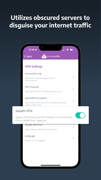 PrivateVPN screenshot 2