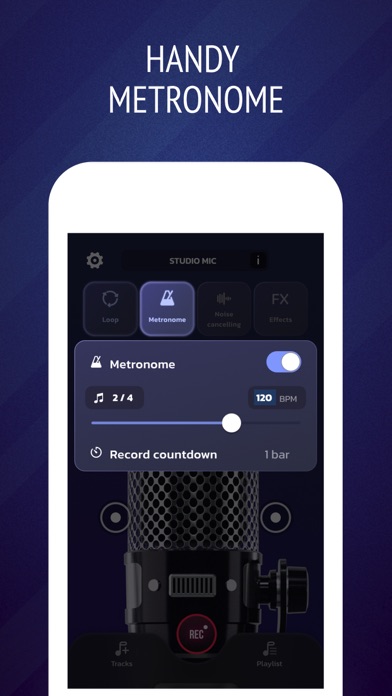 Pro Microphone: Voice Record screenshot 1
