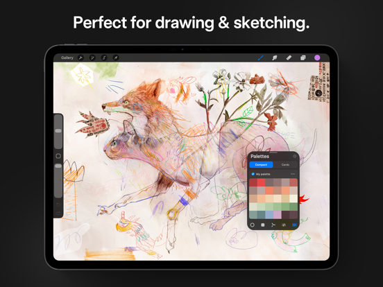 Procreate screenshot 6