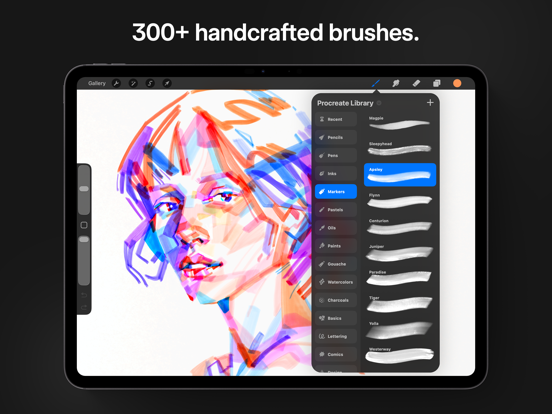 Procreate screenshot 9