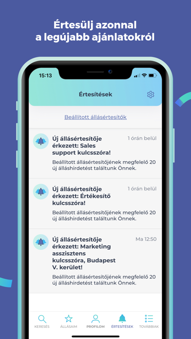 Profession.hu: Fast Job Search screenshot 2