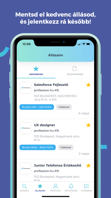 Profession.hu: Fast Job Search screenshot 1
