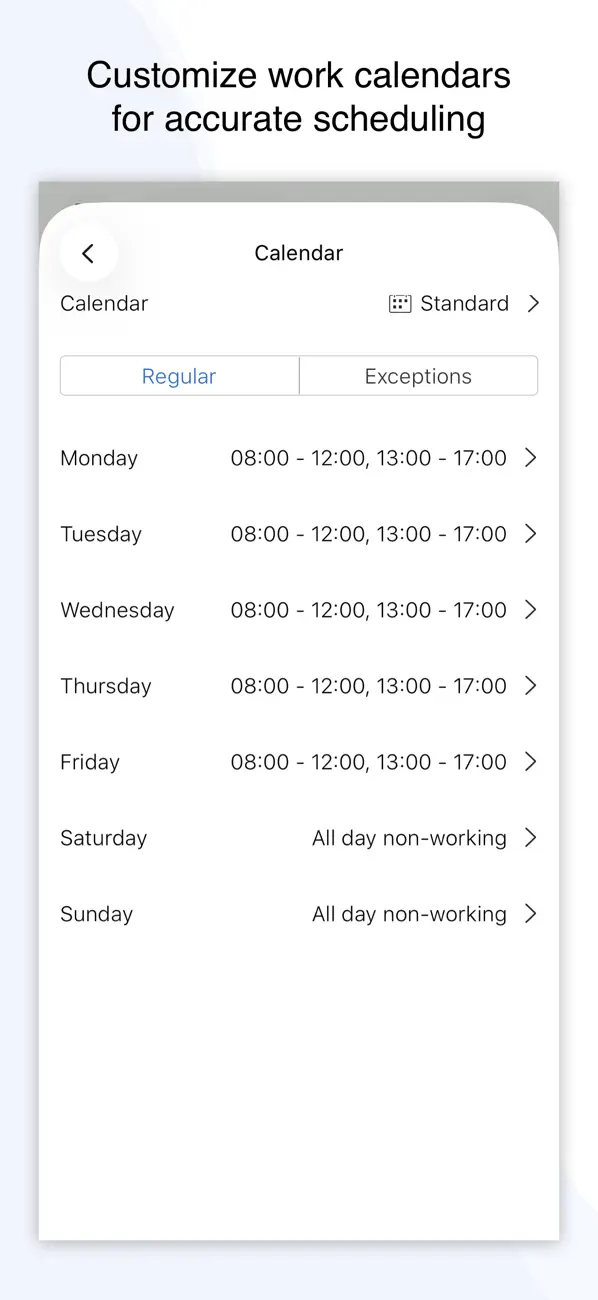 Project Office X: Gantt chart screenshot 3