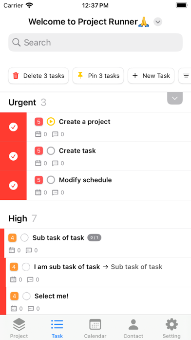 Project Runner screenshot 3