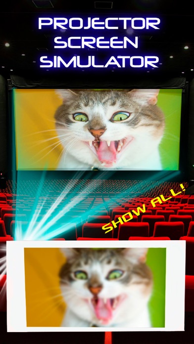 Projector Screen Simulator screenshot 2