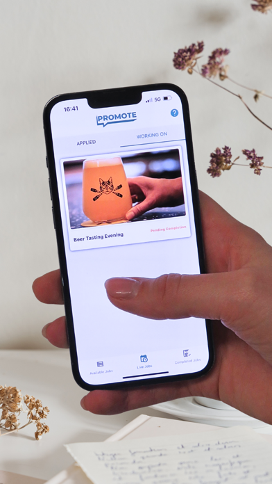 Promote - Influencers screenshot 2