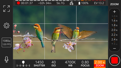 ProMovie Recorder screenshot 3