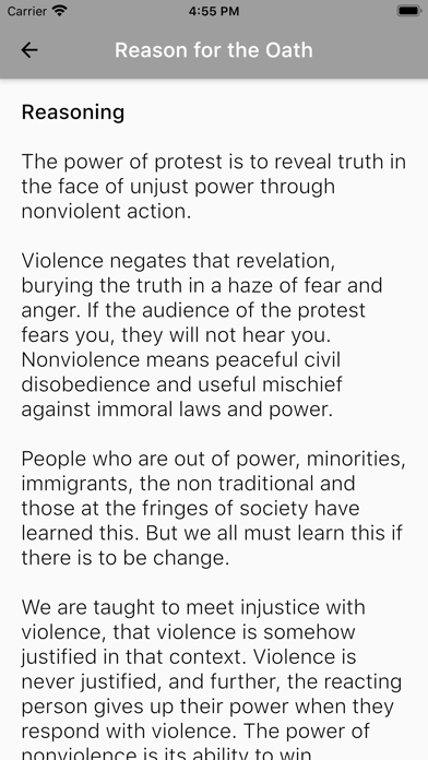 Protester's Oath screenshot 3