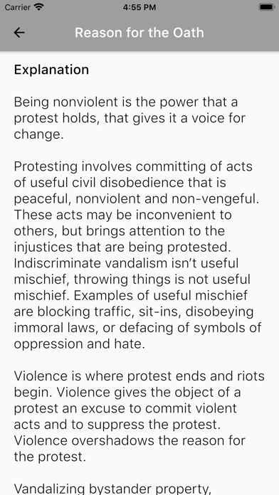 Protester's Oath screenshot 4