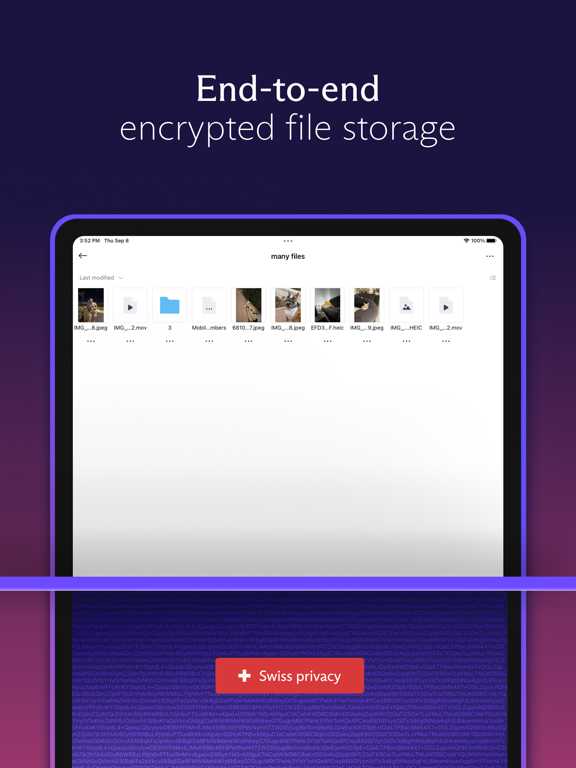Proton Drive: Cloud Storage screenshot 4