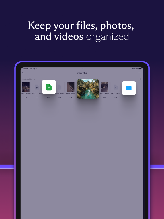 Proton Drive: Cloud Storage screenshot 2