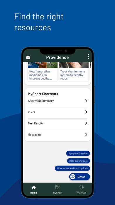 Providence screenshot 2