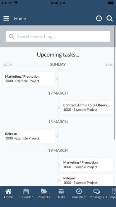 ProWorkflow screenshot 3