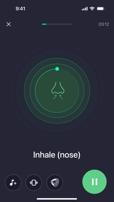 Pulsetto Wellness screenshot 3