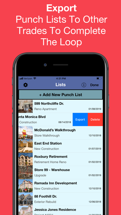 Punch List & Site Audit Report screenshot 2