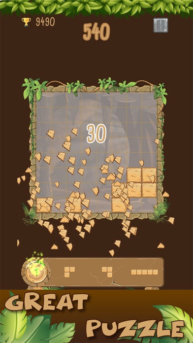 Put Stone Puzzle screenshot 2