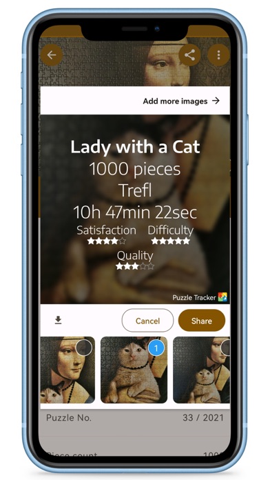 Puzzle Tracker screenshot 3