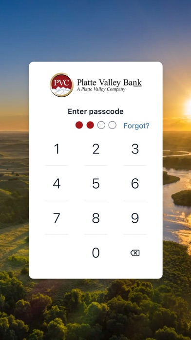 pvbank ne screenshot 3