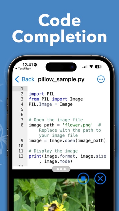 Python Editor App screenshot 4