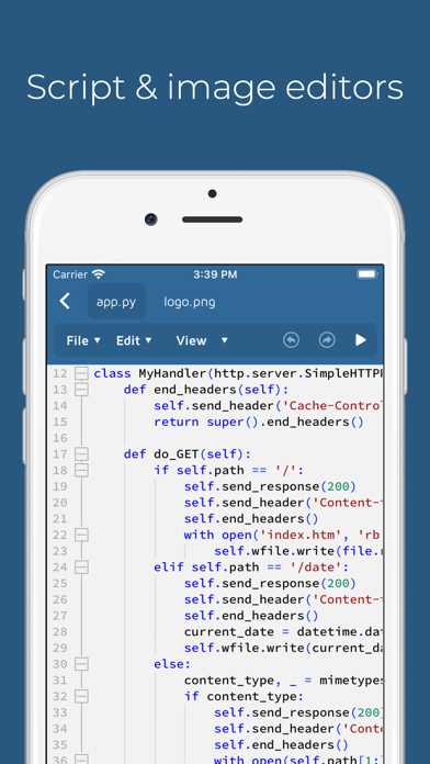Pythonica: Code and Debug screenshot 3