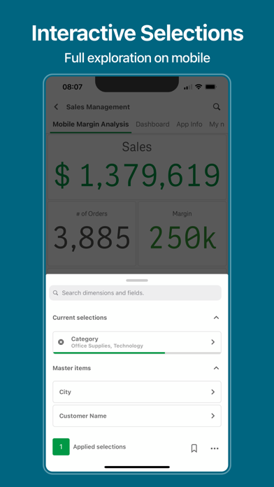 Qlik Analytics screenshot 3