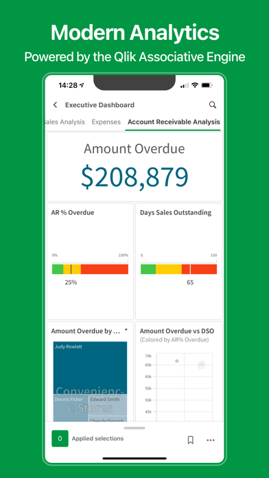 Qlik Analytics screenshot 4
