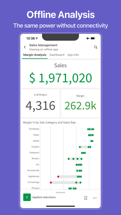 Qlik Analytics screenshot 2