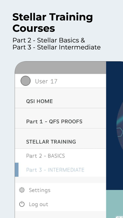 QSI screenshot 4