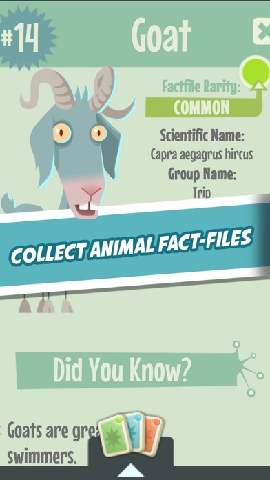 Quiz Owl's - Animal Trivia screenshot 2