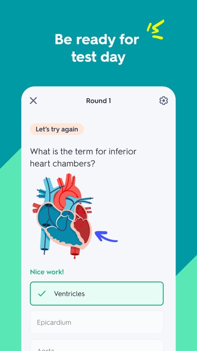 Quizlet: More than Flashcards screenshot 3