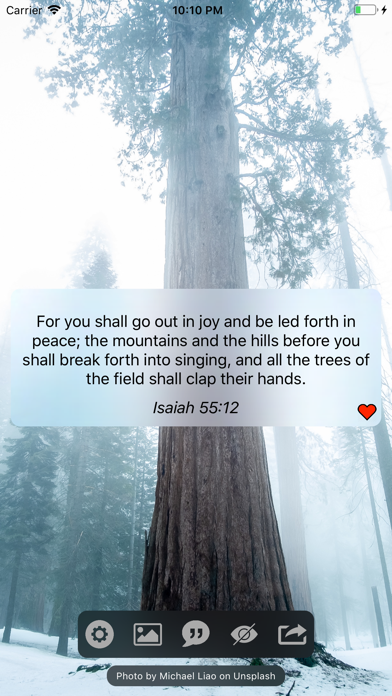 Quote Spark screenshot 3