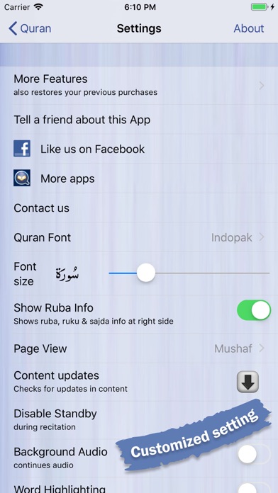 Quran Explorer screenshot 4