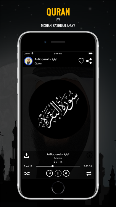 Quran MP3 by Mishari Rashid screenshot 3