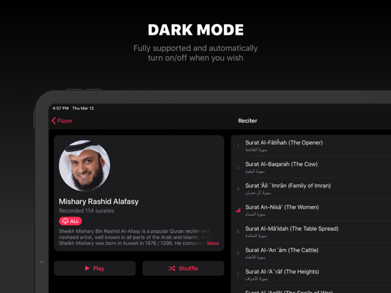 Quran Pro · القران الكريم screenshot 3