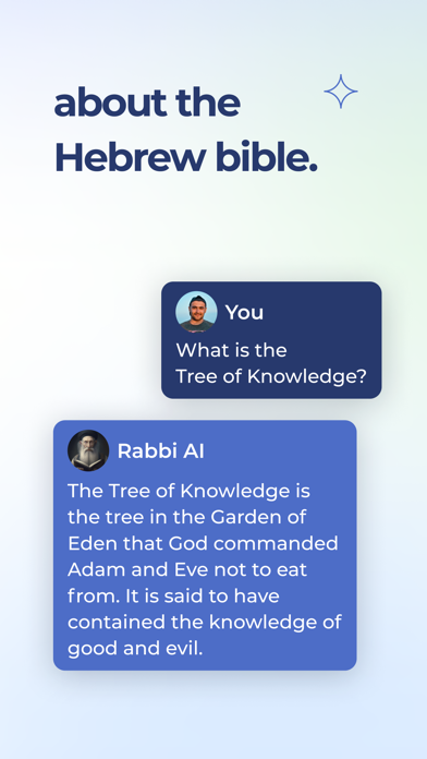 Rabbi Ari: Judaism Chatbot screenshot 1