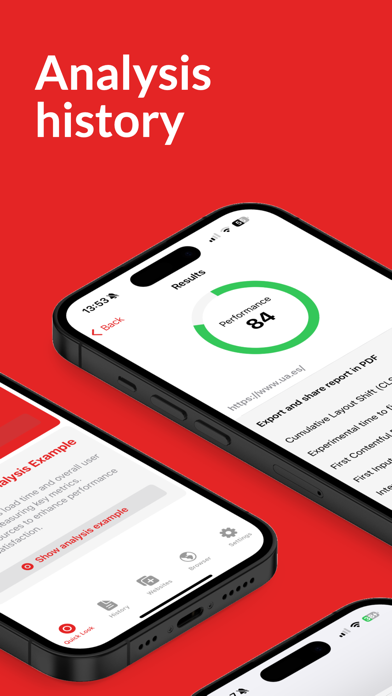 Rabbit Web Performance screenshot 4