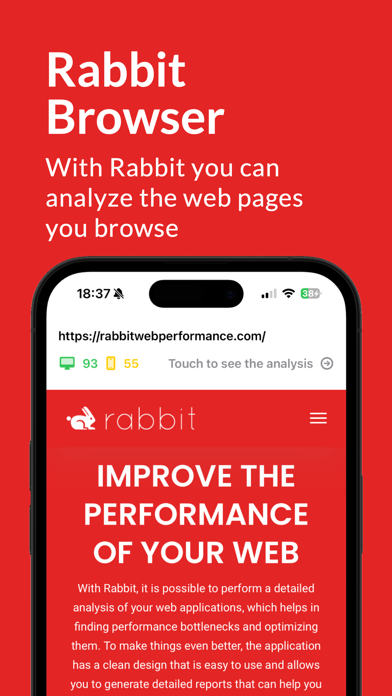 Rabbit Web Performance screenshot 2