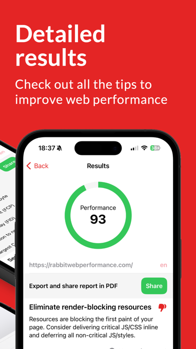 Rabbit Web Performance screenshot 3