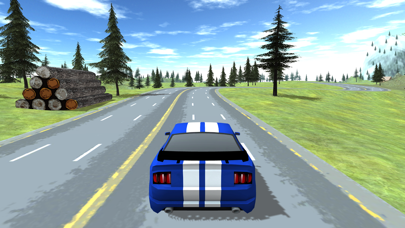 RACING CHAMPIONSHIP 3D screenshot 4
