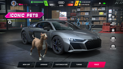 Racing Kingdom screenshot 8